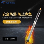 HT-A200W/300W防爆加熱棒