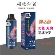 高濃縮硝化細(xì)菌