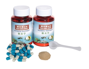 腸炎寧