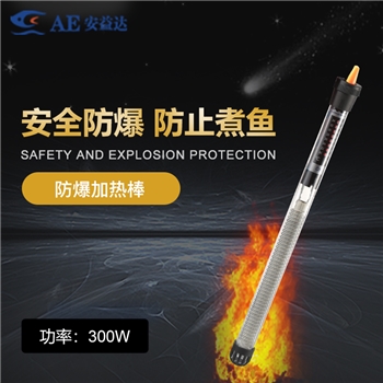 HT-A200W/300W防爆加熱棒