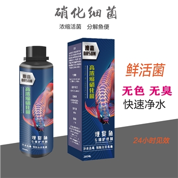 高濃縮硝化細(xì)菌